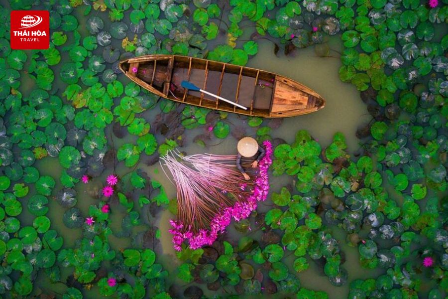 Miền Tây là vùng đất phía Nam, hướng về phía Tây của Việt Nam