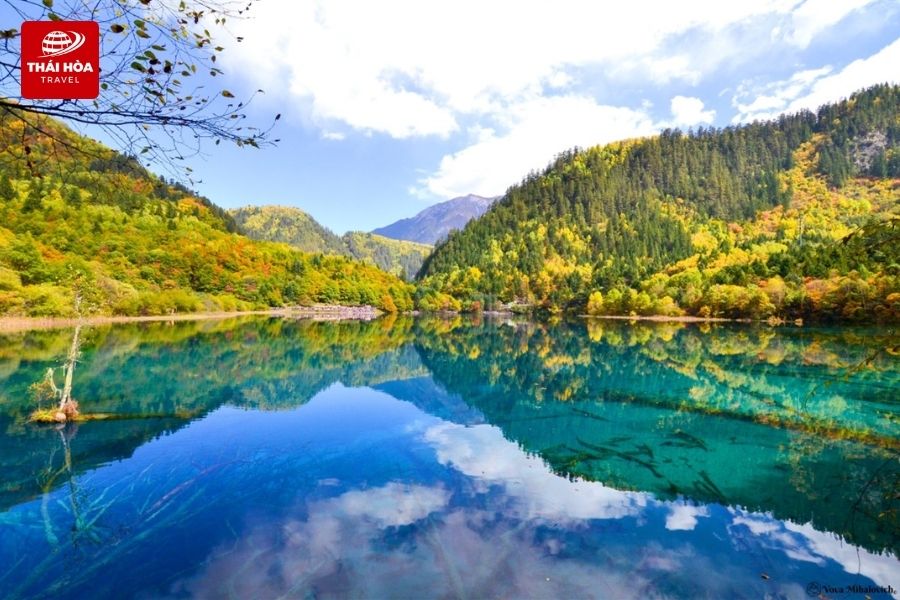 Hồ Trường Hải